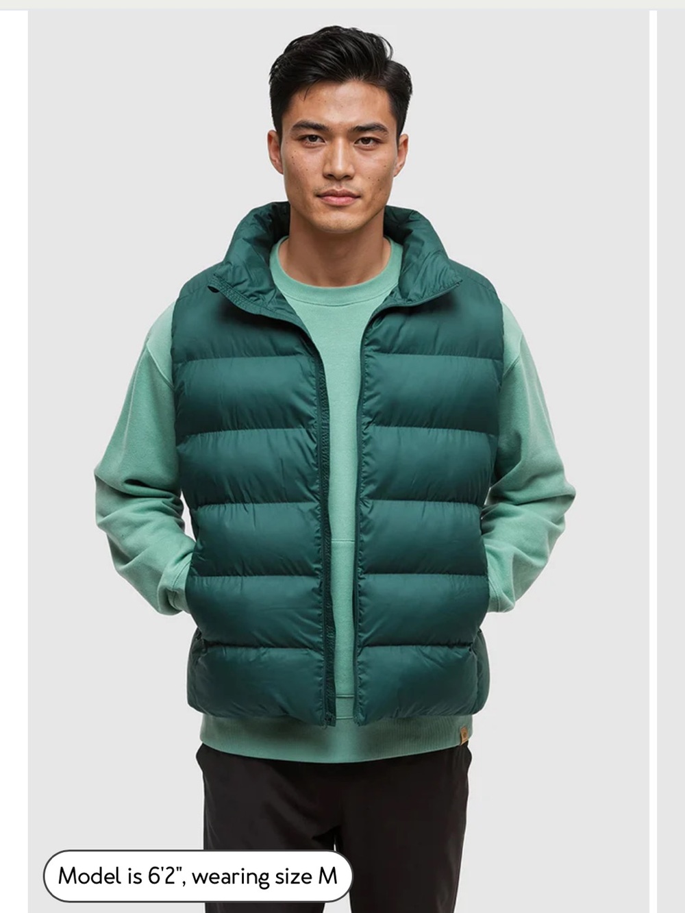 tentree Brewster Vest
Mens Recycled Polyester Insulated Puffer Vest